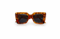 Sommerset 2025, Leopard