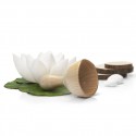 Wood Cup, Kabine